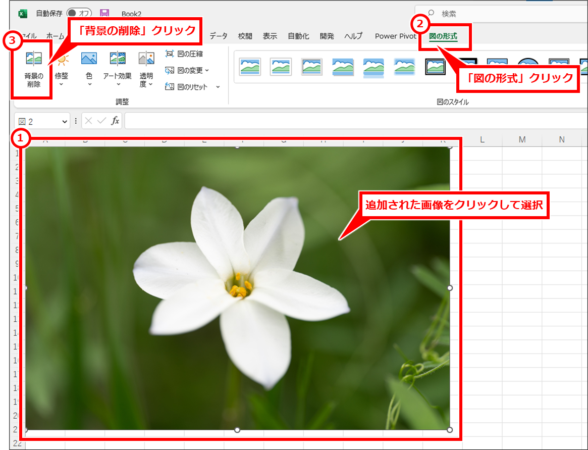 Excel 写真・画像の切り抜き・色合いを調整して画像ファイルとして保存する方法 画像をクリックして選択し、「図の形式」 → 「背景の削除」を順にクリック