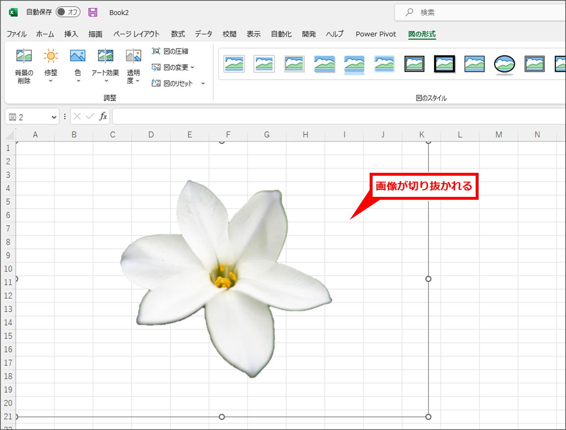 Excel 写真・画像の切り抜き・色合いを調整して画像ファイルとして保存する方法 「変更を保持」クリックすると、切り抜いた画像が表示される。